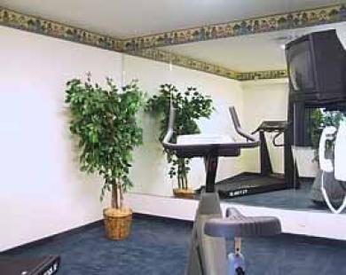 San Mateo Sfo Airport Hotel Съоръжения снимка